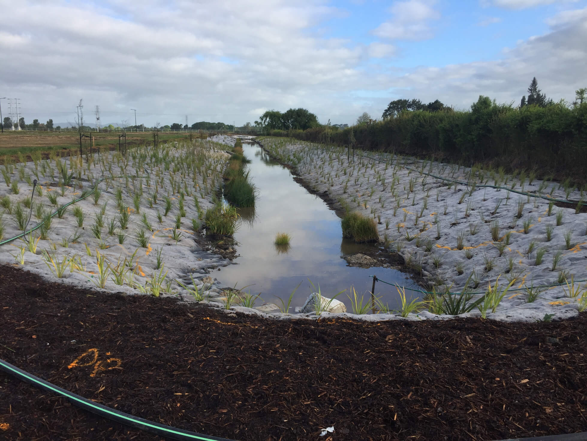 wool bond along waterway - Native Awa (1) (1)